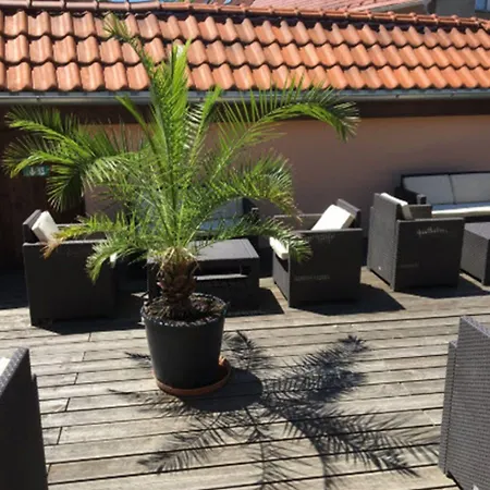 Ξενοδοχείο Arte Vida Ohg 3*